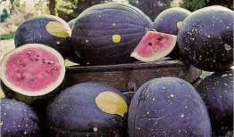 南宁吃瓜爆料是真的吗,真相揭秘，是真是假？